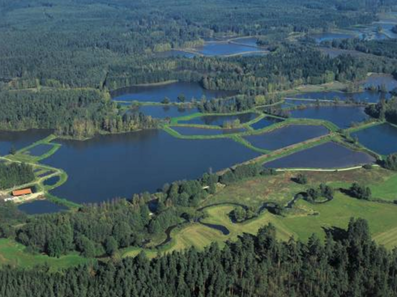 Die Natur beim Wandern in Waldsassen erleben