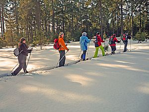 Gruppe in verschneiter Landschaft mit Schneeschuhen