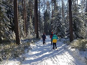 Wanderung im verschneiten Wald mit Schneeschuhen