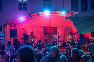Eine Gruppe am Bürgerfest in Waldsassen.